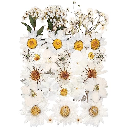 YoothBro White Dried Pressed Flowers for Resin Molds,Real Natural Pressed Flowers for DIY Art Crafts,Candle Making