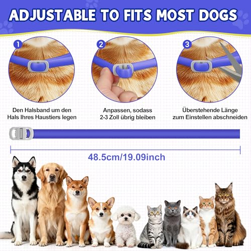 2 Pcs Floh Zeckenhalsband für Katzen & Hunde | Bis zu 16 Monate Langzeitschutz | Natürlicher Floh- und Zeckenschutz | Wasserdichter Verstellbares (Blau, Universal)