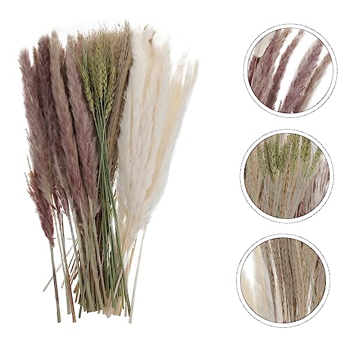 PRETYZOOM 2 Caixas Arreglos Naturales Boho Buquê De Casamento Grama De Seca Grama Seca Para Arranjo