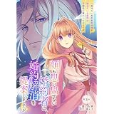 顔も思い出せない婚約者に、婚約解消を提案しましたが ～一見冷たい美形魔術師様が秘めていた愛情は、予想外に重かったようです～【単話版】第3話 (コミックブリーゼ)