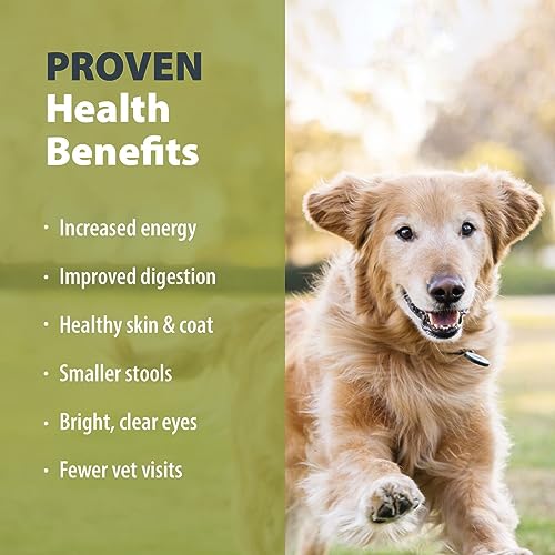 JustFoodForDogs Frozen Fresh Dog Food, Human Grade Chicken & White Rice