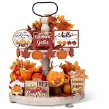 BBTO 13 Set Fall Tiered Tray Decor