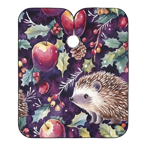 BOESI Doodle Hedgehog and Apple Pattern Barber Shawl, Waterproof Haircut Shawl, Haircut Salon Apron, Shaving Bib, 55 x 65 inches