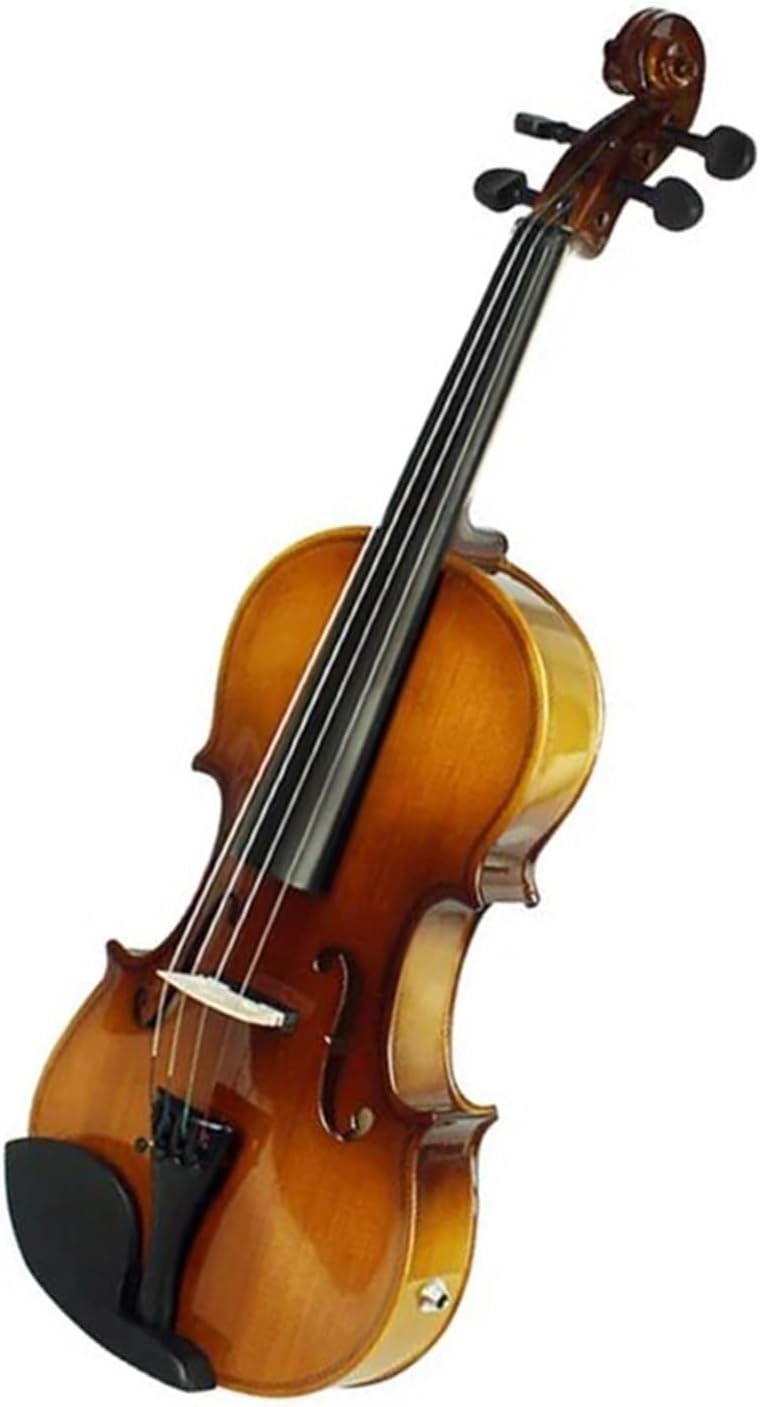 4/4 Size Acoustic Electric Violin With Case Strings And Shoulder Rest Violin