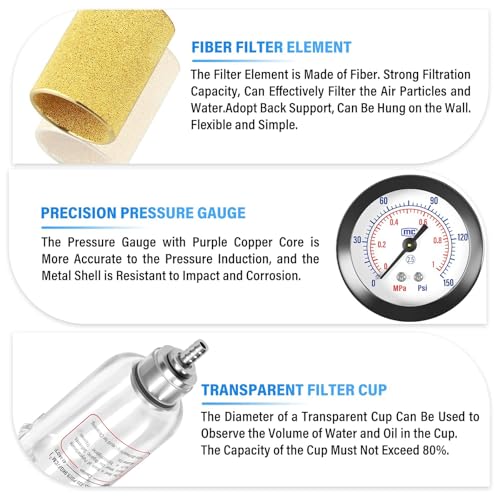 TAILONZ PNEUMATIC 1/4 Zoll BSP AFC2000 Luftfilter Druckregler Kit(0 bis 1 MPA)5 Micron Messing Element Air Tool Kompressor Filter mit Manometer und Lubricator Cup