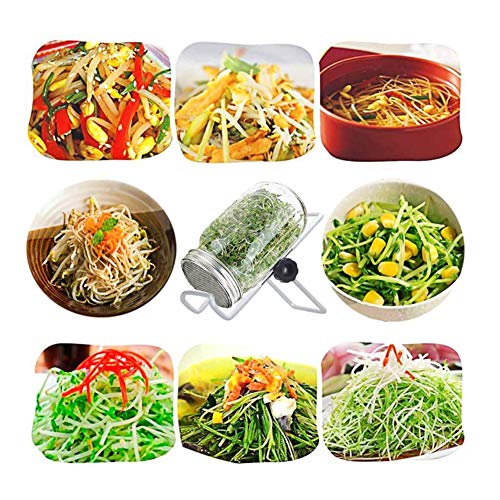 DOUBLE 2 C Mason Jar Sprouting Kit, Seeds Germination Growing Kit Set to Grow Your Own Broccoli Alfalfa Beans Microgreens Sprouts (2Pack)