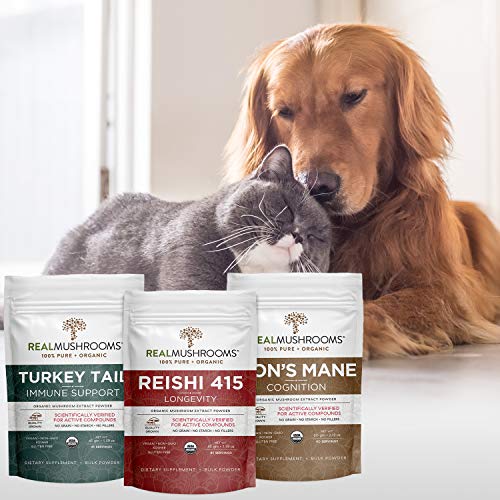 Lion’s Mane Extract Powder (60G) | Reishi 415 Extract Powder (45G) | Turkey Tail Extract Powder (45G) | Organic Mushroom, Non-Gmo, Vegan #TOP6