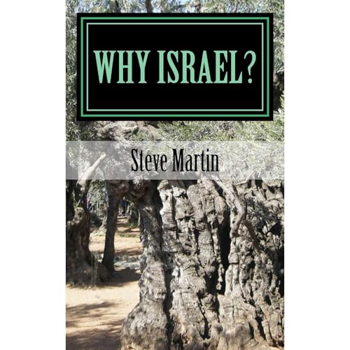 Why Israel? Audiolibro Por Steve Martin arte de portada