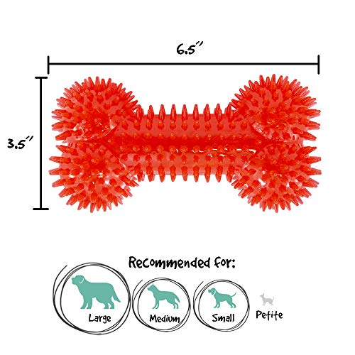 Gnawsome 6.5” Spiky Squeaker Bone Dog Toy - Medium, Cleans Teeth And Promotes Dental And Gum Health For Your Pet, Colors Will Vary #TOP3