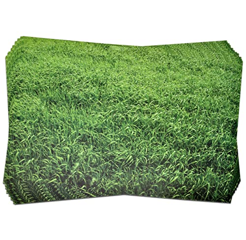 Disposable Grass Printed Paper Place Mats 50 Pack 11”X 17” Rectangle Green Grass Look Charger Place Mat For Spring Summer Luau Dinner Table Setting Bridal Shower Garden Tea Party Supplies Decor #TOP2