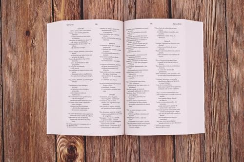 Nvi, Portuguese NVI Bible, Paperback: Biblia Sagrada Nova Versao Internacional