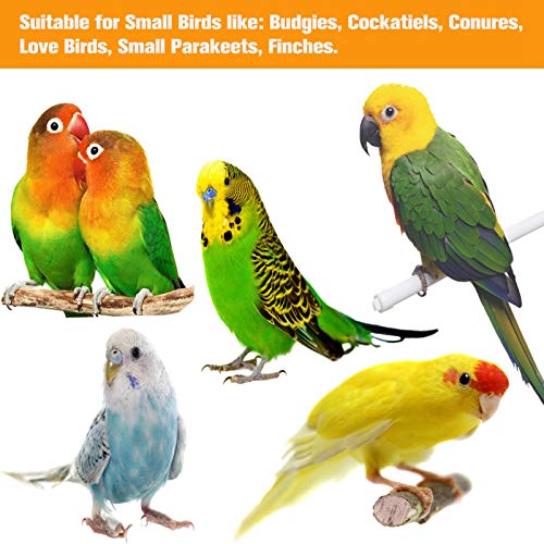 Inscape Data 8 Pack Bird Toys, Parrots Swing Chewing Hanging Toys Bird Perch Stand Toy Birds Cage Toys for Small Birds, Parakeets, Cockatiels, Budgie, Conures, Love Birds, Finches - Thumbnail 4