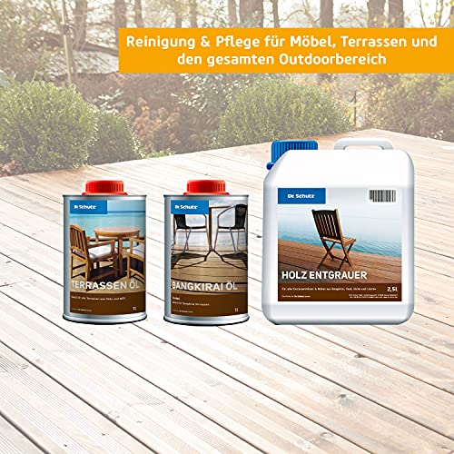 Dr. Schutz Detergente intensivo per legno, WPC e