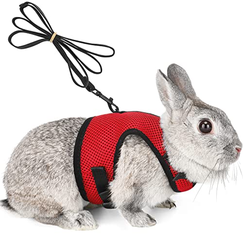 Petcomer Harnais pour Lapins Cochons d'Inde Petits Animaux avec Laisse Élastique Gilet Souple pour Promenade (L, Rouge)