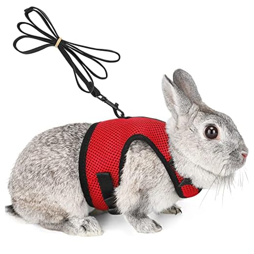 Petcomer Harnais pour Lapins Cochons d'Inde Petits Animaux avec Laisse Élastique Gilet Souple pour Promenade (L, Rouge)