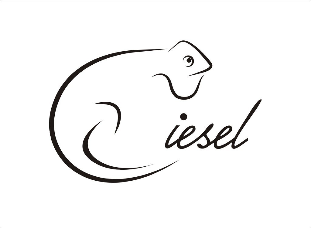 isee360 Vinyl Chaemeleons Diesel Sticker Windows, Sides, Hood, Bumper Car Stick-picture-24