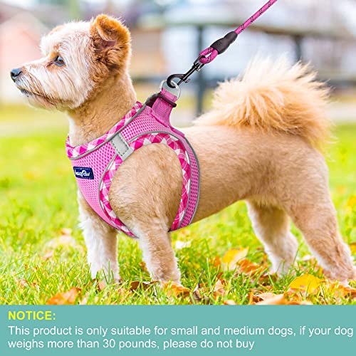 haapaw Dog Harness and Lead Set, No Pull Adjustable Reflective Step-in Puppy Harness with Thickened Padded Vest for Extra-Small/Small Medium Dogs - Image 3