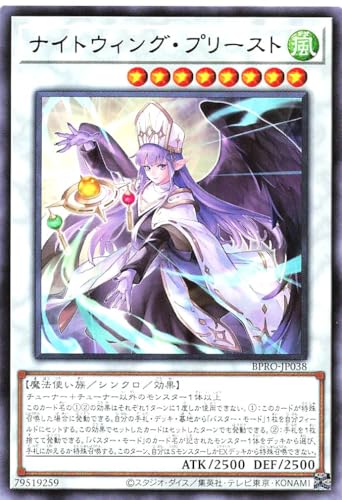 BPRO-JP038 �i�C�g�E�B���O�E�v���[�X�g ���A R �o�[�X�g�E�v���g�R�� BURST PROTOCOL �i�C�g�E�B���O�v���[�X�g