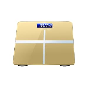 Scale for Body Weight Rechargeable Highly Accurate Digital Scale Weight Scale for Bmi Fat Percentage Body Fat Muscle