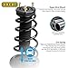 OREDY Pair Rear Left & Right Complete Struts w/ Coil Spring Compatible with 2004-2006 Toyota Camry Solara Lexus ES330 - 172207 172208