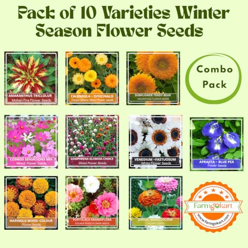 Image of Pack of 10 Varaties ~ Summer Season Home Gardening Flower Seeds Collection - (Silver Collection)