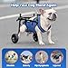 Huimpet Dog Wheelchair for Back Legs, Dog Wheelchair for Small Dog, Adjustable Pets Cart with Wheels, Doggy Wheelchairs for Disabled Hind Legs, Dog Leg Brace and Hip Support