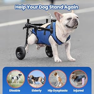   Dog-Wheelchair-for-Back-Legs-Dog-Wheelchair-for-Small-Dog-Adjustable-Pets-Cart-with-Wheels-Doggy-Wheelchairs-for-Disabled-Hind-Legs-Dog-Leg-Brace-and-Hip-Support-Medium