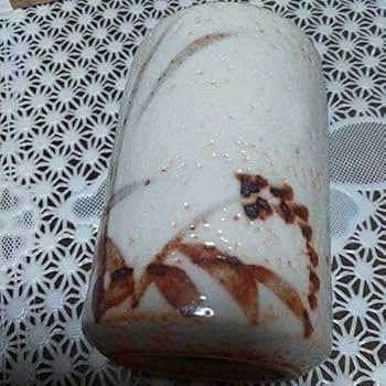 Amazon.co.jp: 718茶道具 茶碗 共箱 仙山窯 志野焼 人間国宝 安藤日