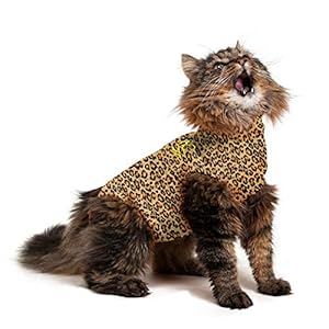 MPS Medical Pet Shirt Katze Leoparden Print
