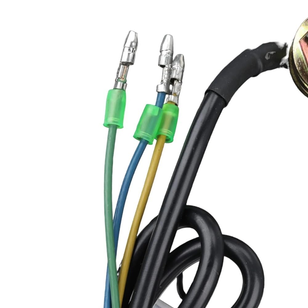 Moteur de Roue arrière 48 V 800 W, Assemblage de Moteur 10 Pouces avec Pneu Gonflable 10 × 2,75-6,5 for Scooter électrique KUGOO G2 Pro. Pièces