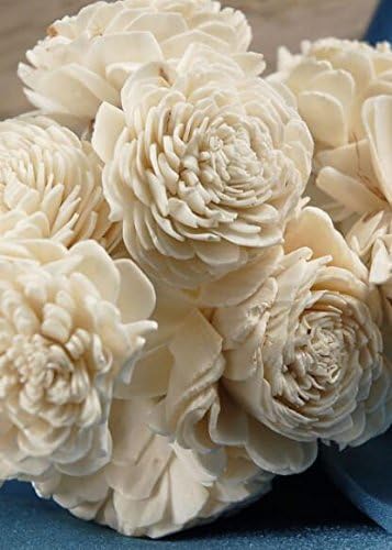 RichlandSola Flowers on Wire Stems Set of 10