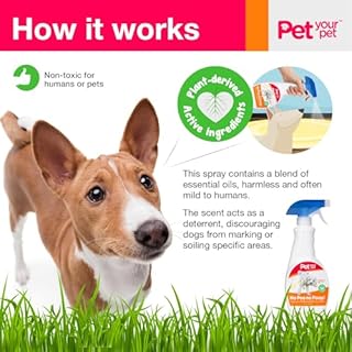 PET YOUR PET Dog Potty Training Spray No Pee No Poop, 16 Fl Oz, Non Toxic Spray for Dogs Only, Natural Pee Deterrent, Prevents Urine Marking and Pooping, Indoor Outdoor House Training Aid