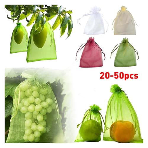 Red para frutas de 10x15 cm para proteger racimos contra pájaros 3