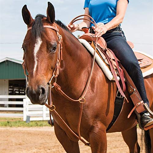 Billy Royal Texas Horse Training Fork | Hand Rubbed and Oiled Grade A Leather - Light Oil Color | Solid Brass Rings | Snap Girth Attachment Adjusts from 24