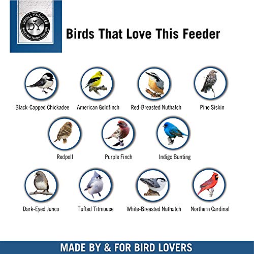Droll Yankees Classic Sunflower or Mixed Seed Bird Feeder, Ring Pull Advantage, 6 Feeding Stations, 1 lb Bird Seed Capacity, 20-Inch