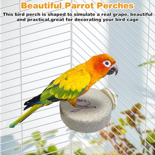 Image of PINVNBY 4 PCS Bird Perches Calcium Parrot Perch Stand Bird Beak Grinding Stone Foot Claws Trimmer Parrot Chewing Toys Bird Cage Accessories for Budgie Cockatiel Conure Lovebird Finch
