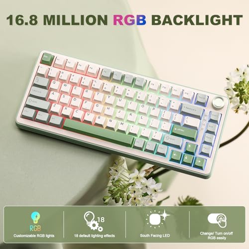Image of YUNZII B75 PRO Wireless Mechanical Keyboard,75% Layout with Knob,Hot Swap Gasket Structure,Creamy Pre-lubed Switches,RGB Backlit,Bluetooth /Type-C /2.4G for Win /Mac (Matcha Green, Milk Switch)