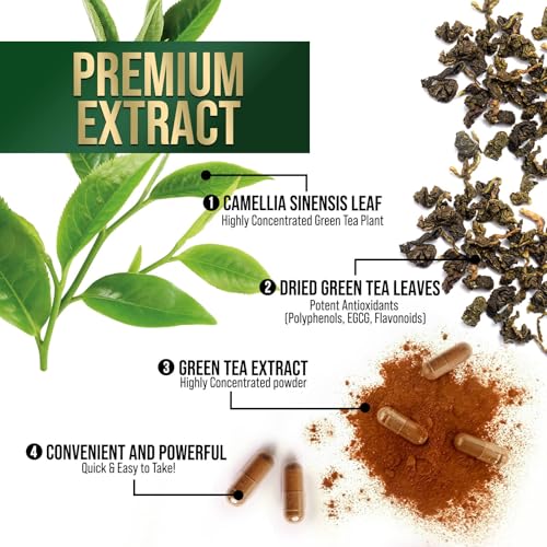 Nature'S Nutrition QQCCZ-192 Green Tea Extract Capsules 1000Mg 98% Standardized Egcg thumb #4