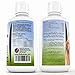 FlexComplete Liquid Vegetarian Glucosamine for Dogs - Joint Health and Mobility Support with Vegetarian Formula to Keep Pet Active and Healthy - for Small and Large Dogs- Formulated in The USA
