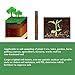 Soil Sample Probe 12 Inch with T Handle, Soil Sampler Tool, Soil Test Kit, Soil Probe for Soil Sampling Plant Care Lawn Garden Farm