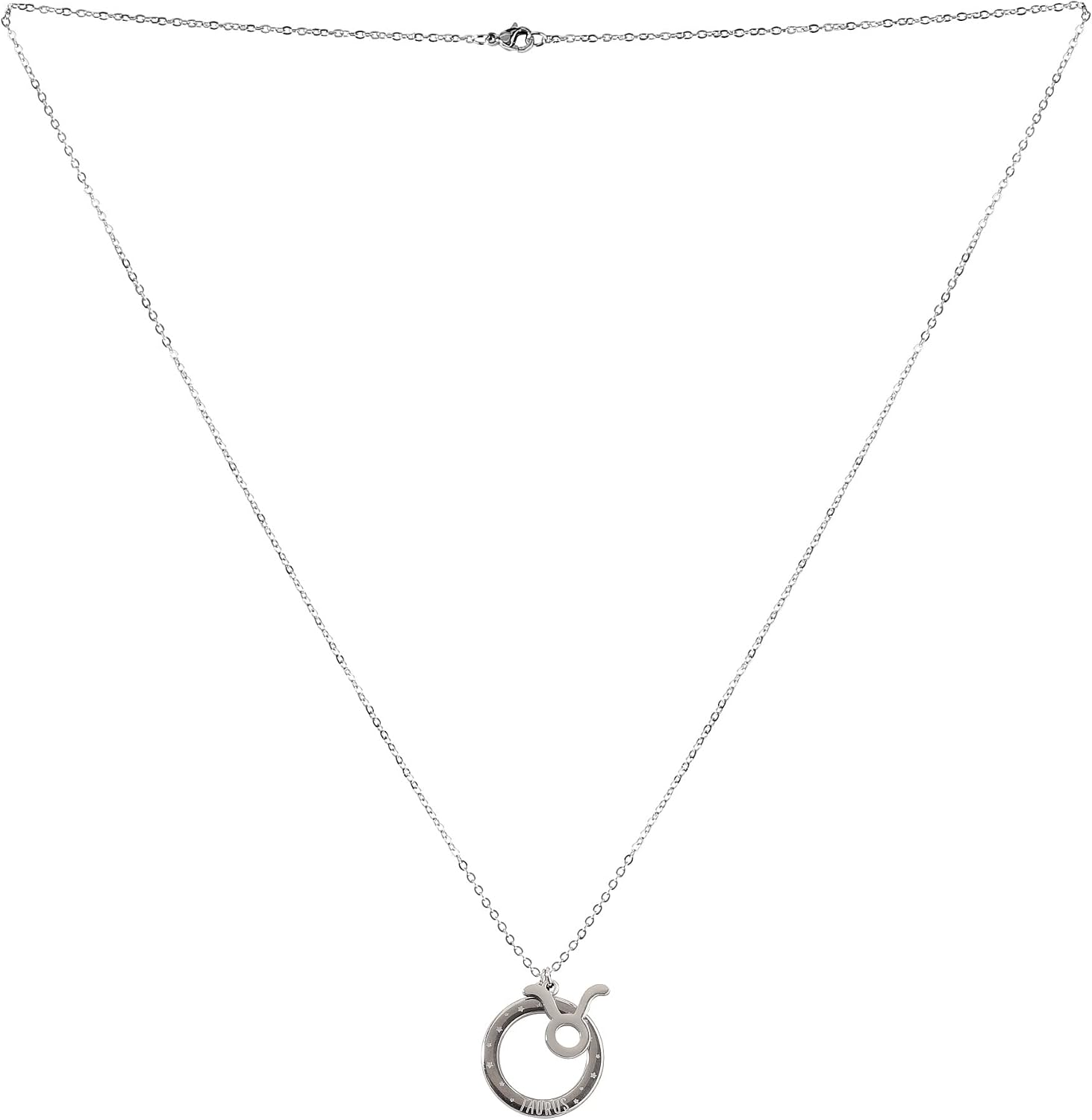 Enesco Izzy and Oliver Quotes Taurus Star Sign Stainless Steel Charm Necklace, Silver, 22.87 Inch