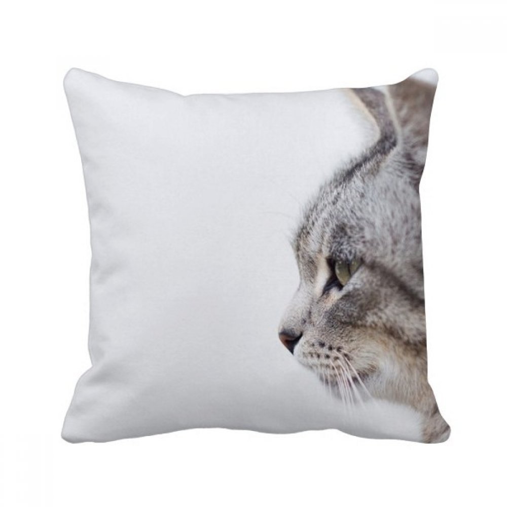 Coussin oreiller chat imprimé 40x40cm housse et insert pour décoration maison