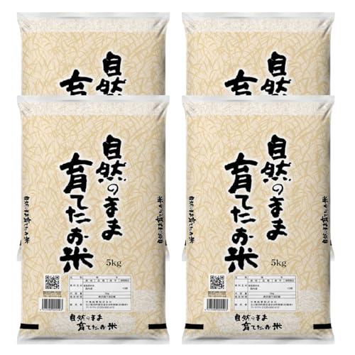 �y���āz���Y�u�����h��20kg�i5kg×4�܁j �����Y �Y�n���� ���� ������ �R�� ��20�s ��20�L��
