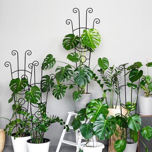 32.6in Monstera Plant Support Stakes for Indoor Plants, Metal Garden Plant Trellis for Climbing Plants, Pothos Vine Snake Climber Support，2p by Coomin - Image 8