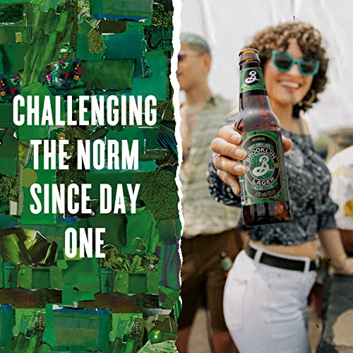 Brooklyn Brewery Hoppy Amber Lager Craft Beer (24 x 0,33 l) Flaschenbier