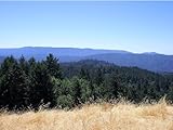vw santana tuning  The Santa Cruz Mountains Road Ranger (English Edition)