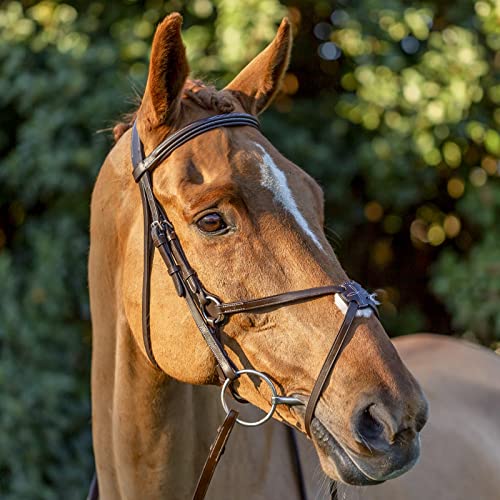 Equinavia Saga Adjustable Padded Fancy Stitched Figure 8 Bridle With Reins - Chocolate Brown - Cob #TOP3