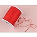 Nylon Thread Twine for Gardening Braided Bracelets DIY Crafts (1mm-394feet, Red)