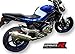 Dominator Exhaust silenciador de escape SUZUKI GLADIUS 650 + DB Killer (REDONDO)