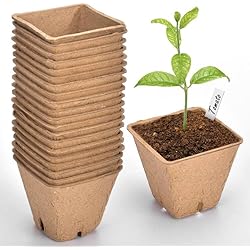 Macetas De Fibra Baratas gueche 60 Piezas pequeñas macetas de Semillas de Fibra biodegradables para plántulas, Ø 6 cm Macetas de Fibra con 60 Etiquetas de Plantas Macetas Biodegradables, Macetas de Fibra para Flores Plantas